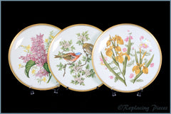 Spode Collector Plates