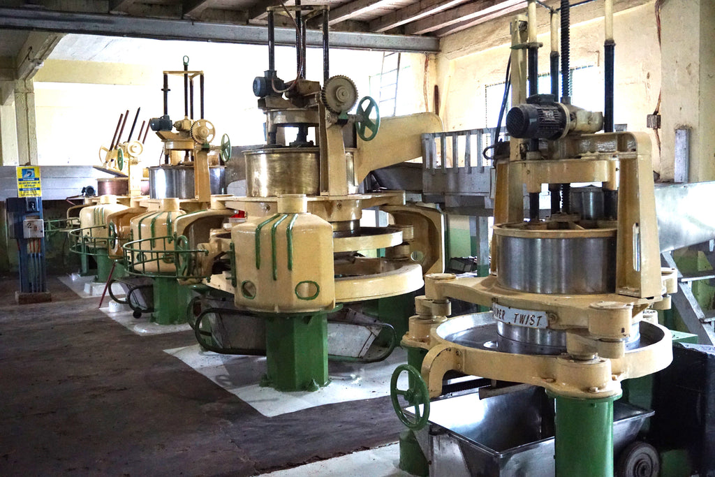 Rolling machines which are used to roll and twist the tea leaves.