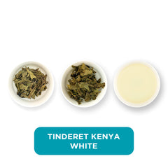Tinderet Kenya White loose leaf tea – three cups showing the plain leaf, the unfurled leaf with the water added and then the final brew of tea.