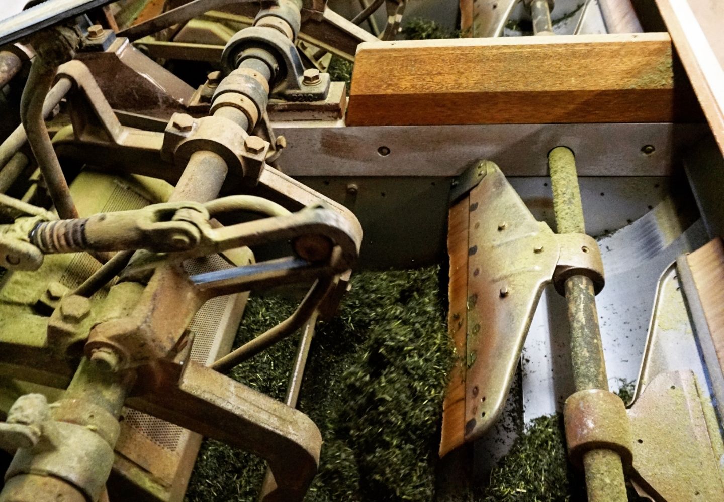 A photo showing a paddle machine in Japan. It's straightening leaves to make Sencha tea.