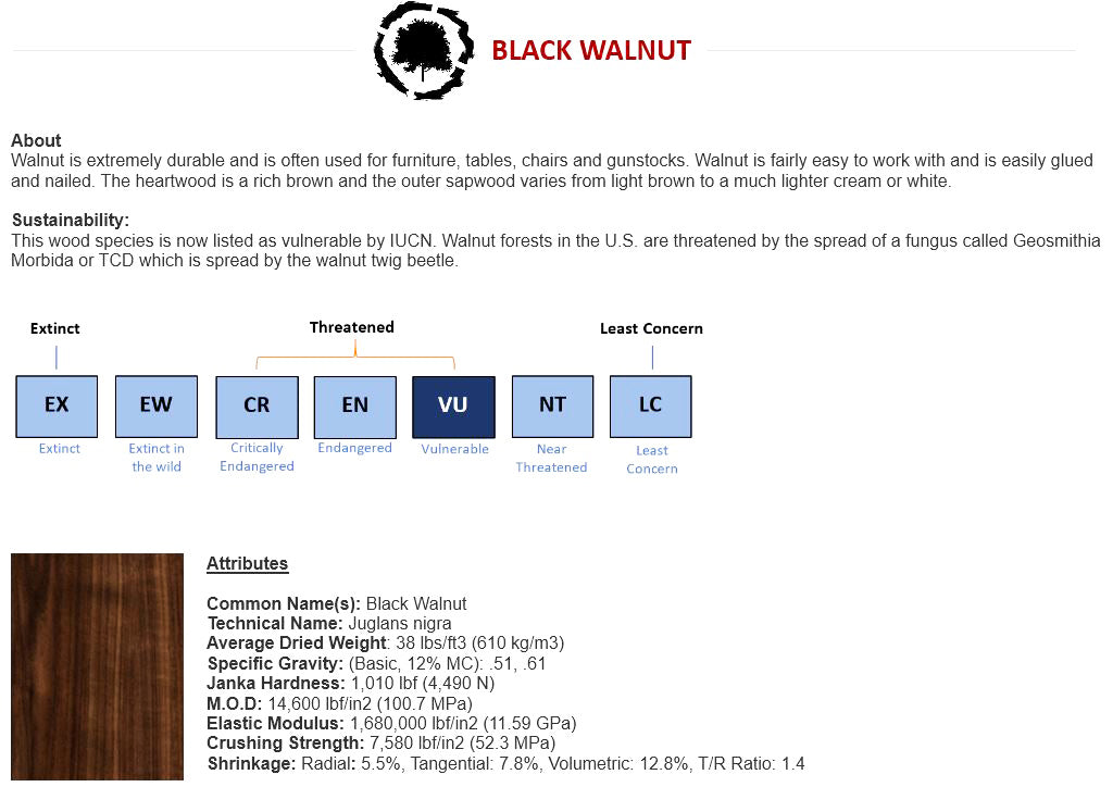 Black Walnut species guide