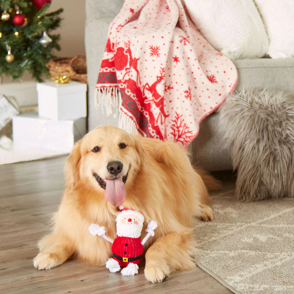 https://cdn.shopify.com/s/files/1/2723/4094/files/Pearhead-Real-Santa-Claus-Dog-Toy-Four-Muddy-Paws-2.webp?v=1699667364&width=1200