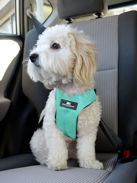 sleepypod sport car harness