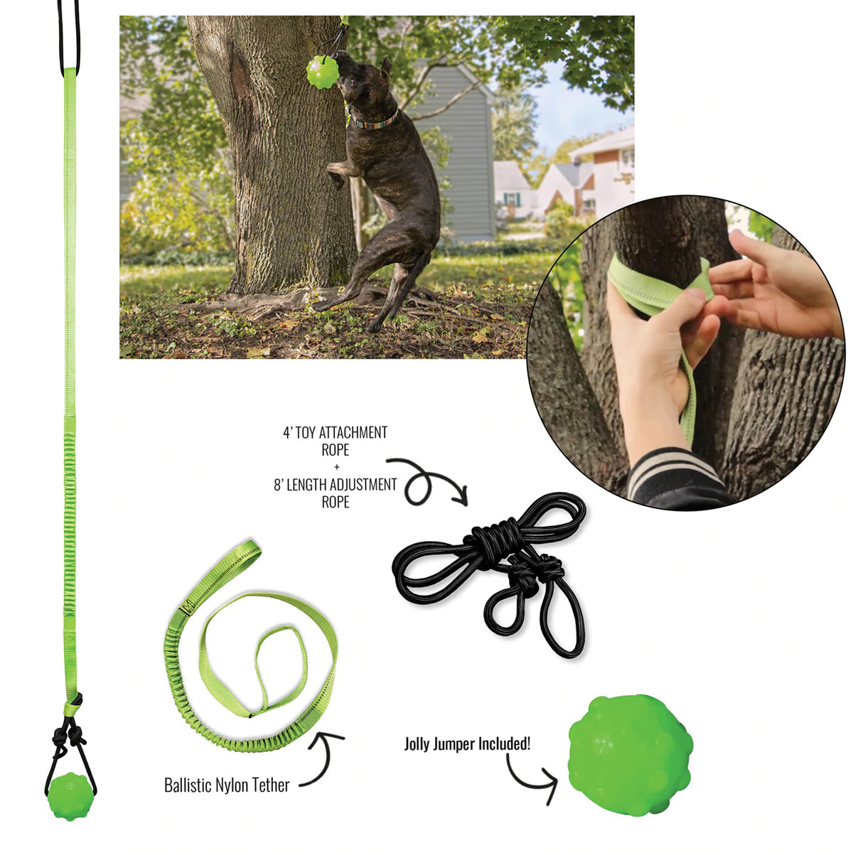 Jolly Pet Tree Tugger Lg