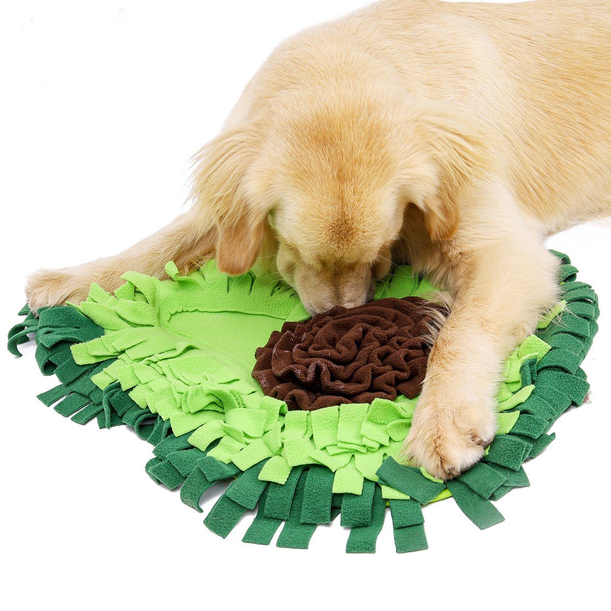 Pet Zone Boredom Busterz Green Bowl – Four Muddy Paws