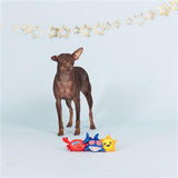 Star Spangled Summer Sun Plush Dog Toy Mini-Four Muddy Paws