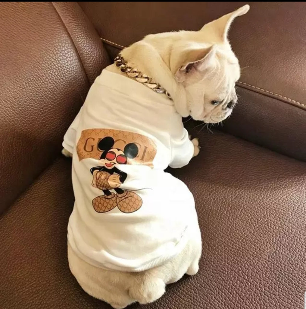 gucci for dogs clothing