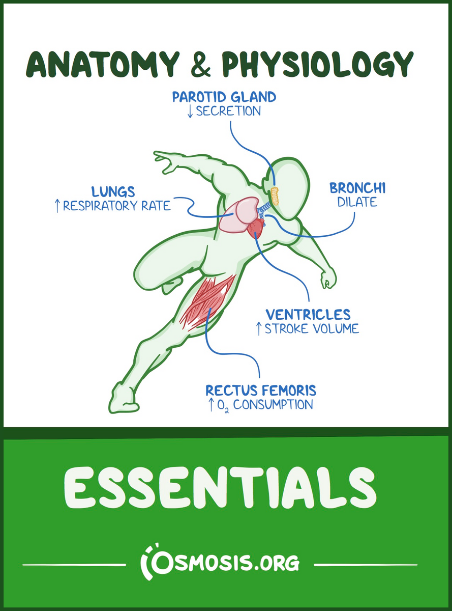 Osmosis Anatomy & Physiology Essentials – Osmosis Bookshop