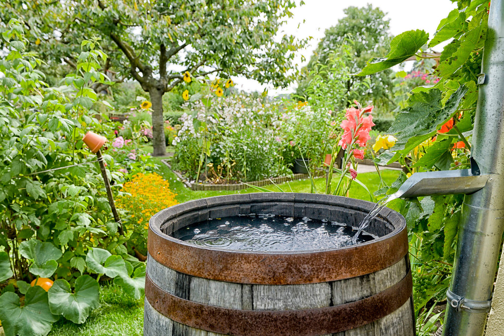 5 Advantages and Disadvantages of Rainwater Harvesting – Fresh Water Systems