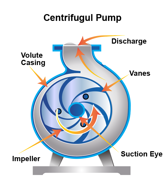 Centrifugal pump diagram