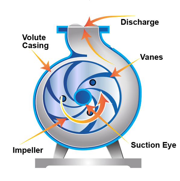 centrifugal pump diagram