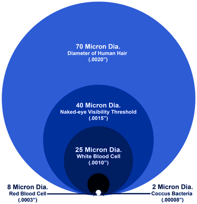 micron size comparison