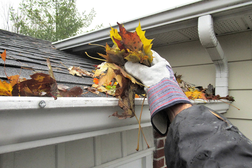 Hamilton gutter cleaning