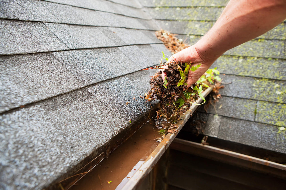 clogged gutter