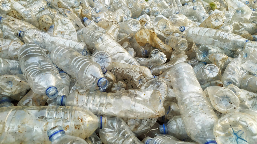 https://cdn.shopify.com/s/files/1/2723/8896/files/plastic-bottle-trash_1024x1024.jpg?v=1649878852