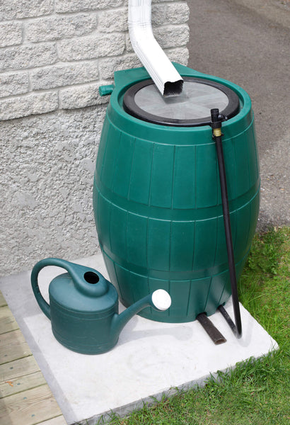 rain barrel with filter