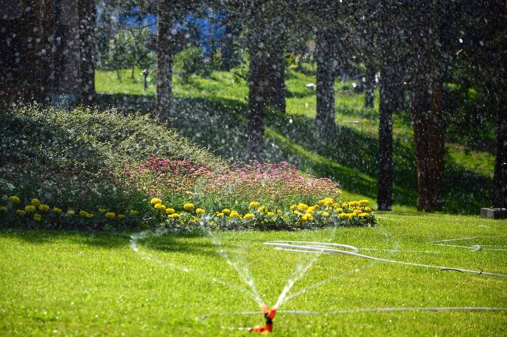 sprinkler on lawn