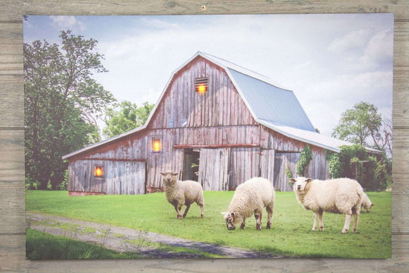 Country Sheep Lighted Canvas