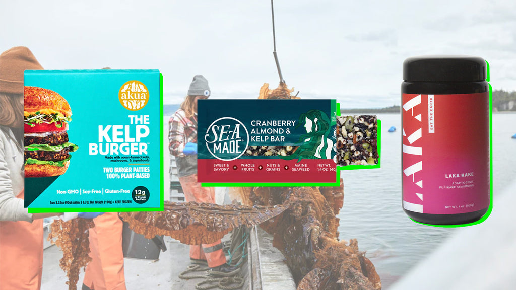 2023 BUBBLE Food Trends - Keep it Kelp