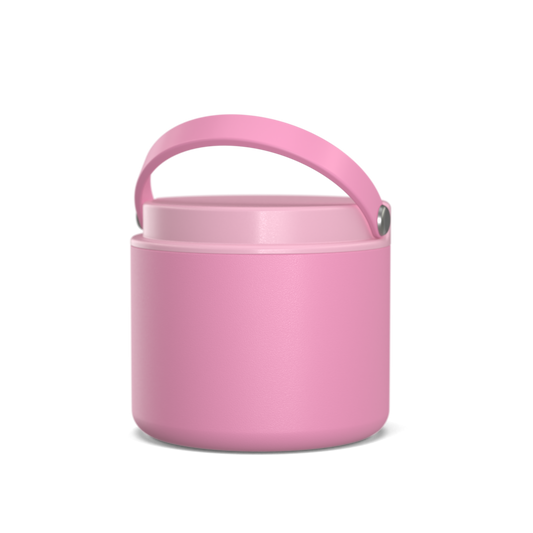 16oz Stainless Steel Vacuum Insulated Food Jar for Hot Foods and Soups - Pink