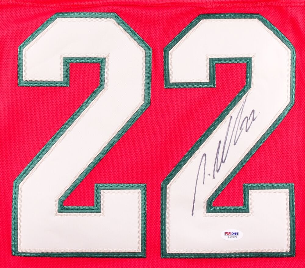 Autographed Nino Niederreiter Jersey - #22 3rd Reebok Licensed Jsa Coa