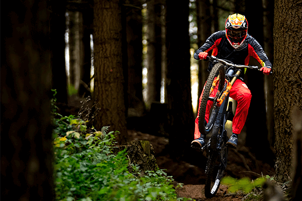 Cyclist popping a wheelie in the forest on mountain bike in D4 full face helmet