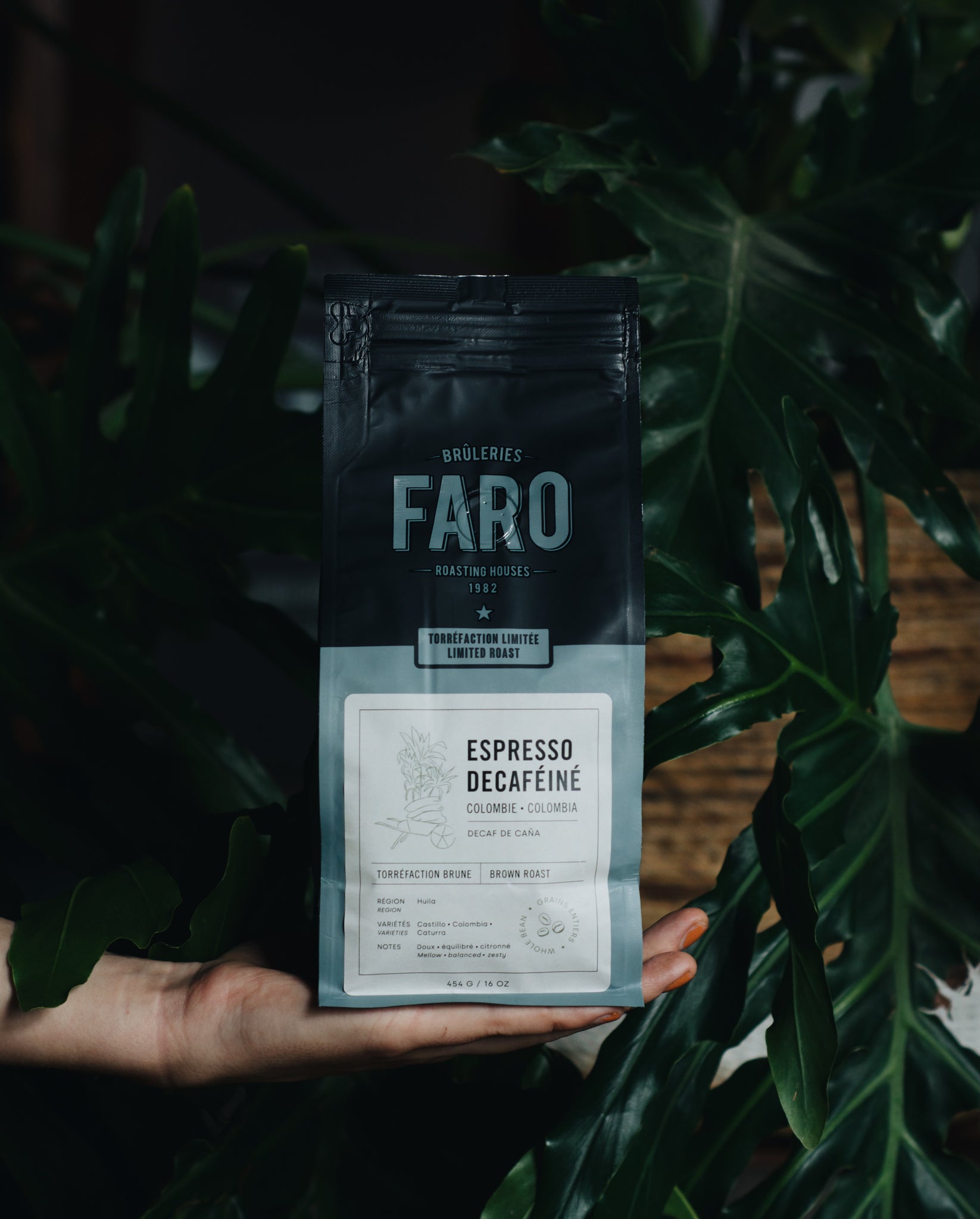 espresso decaf de cana bruleries faro