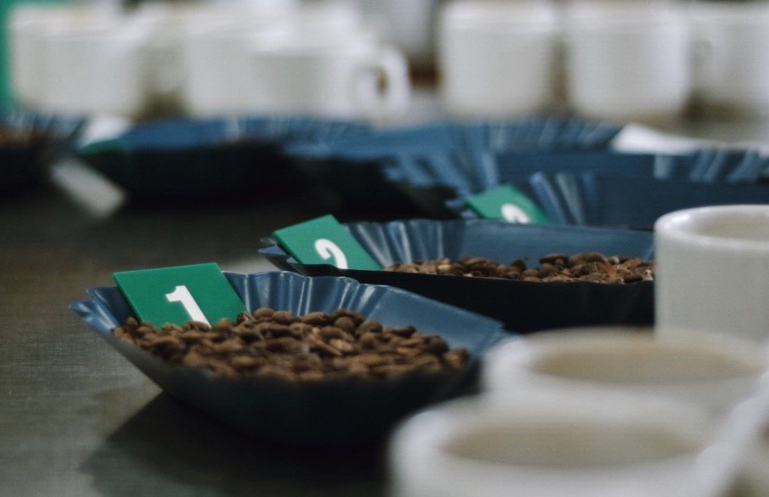 Coffee cupping