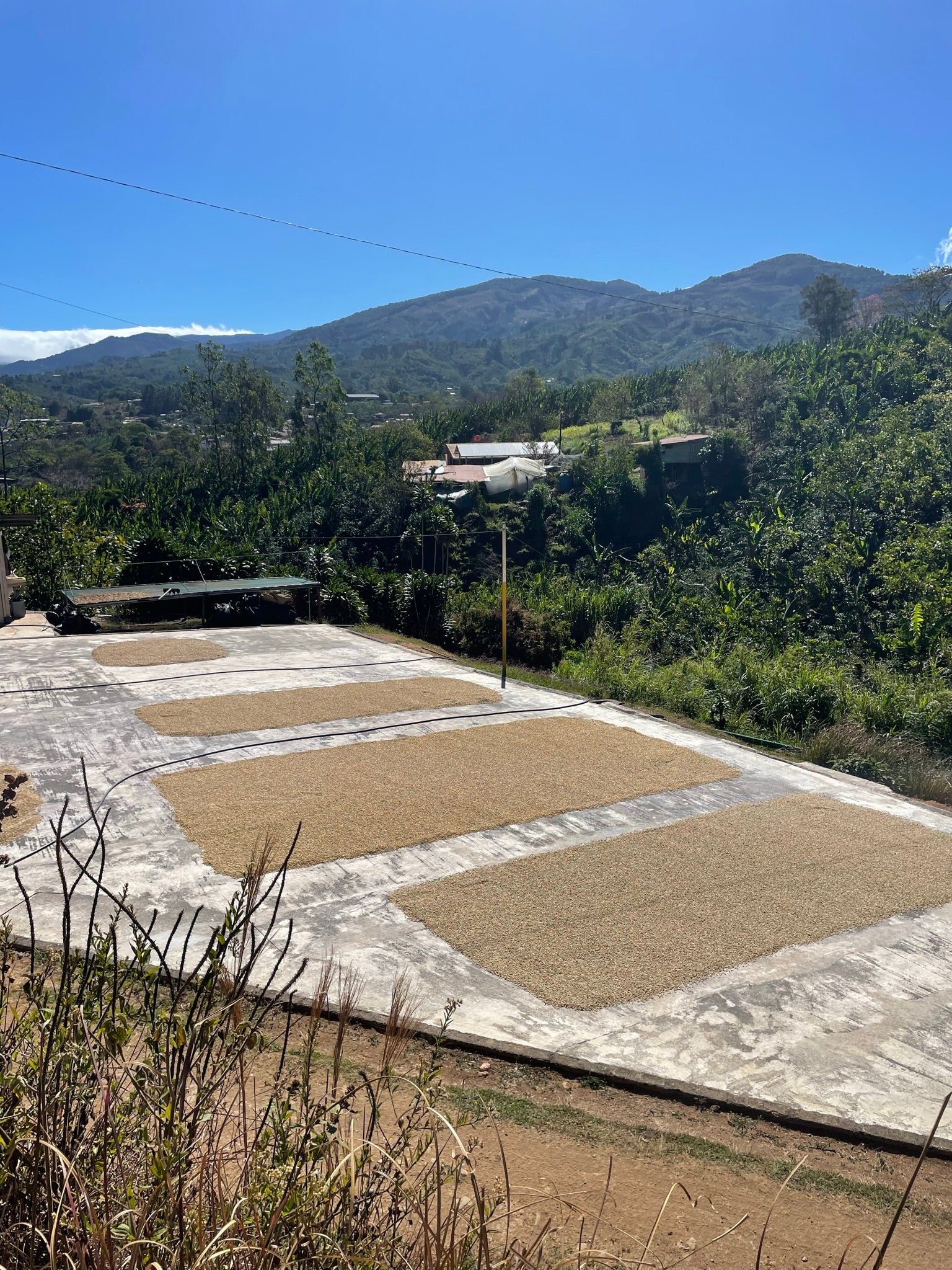 La Candelilla Micromill Costa Rica