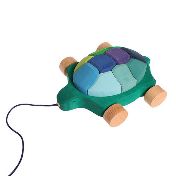 pull along turtle