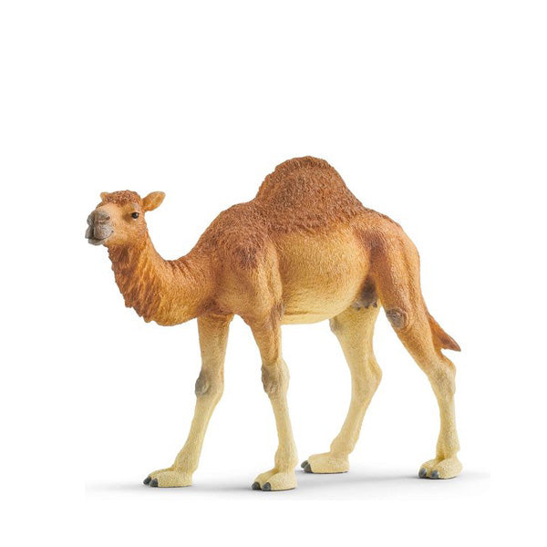 schleich camel