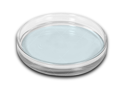 clear colourless liquid in a dish