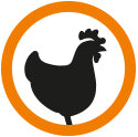 only chicken sign