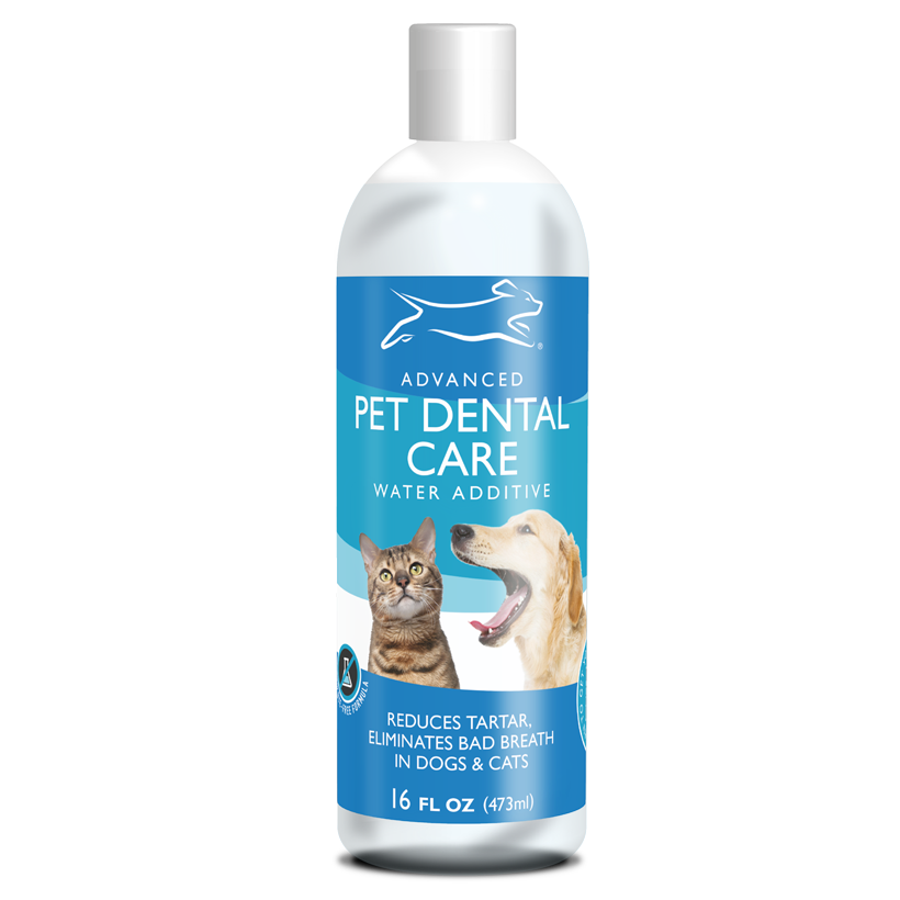 best dental products for dogs