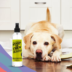 A dog looking at STOP The Chew Bitter Spray Deterrent 