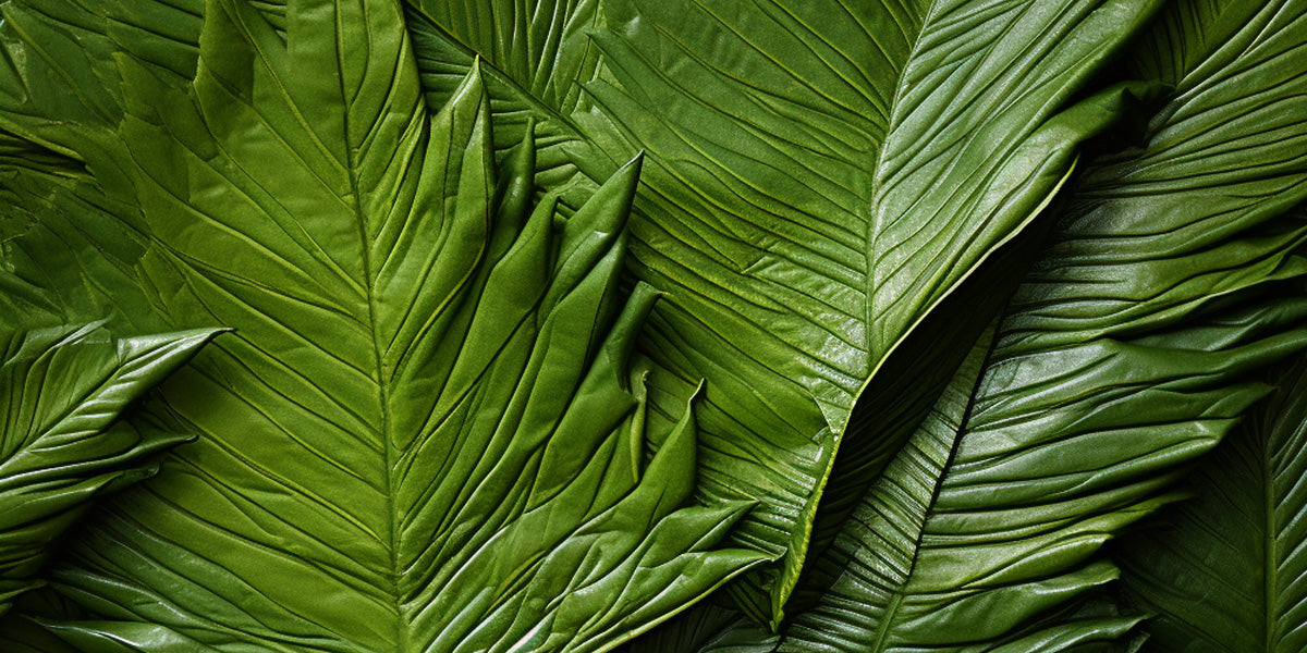 What Is Vegan Leather Made Of? Many Plant Leathers Are Being Used