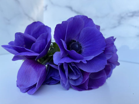 Special Order – Anemone and Iris