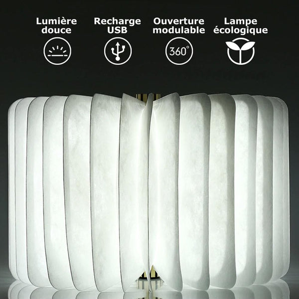 Lampe-livre Décorative En Bois