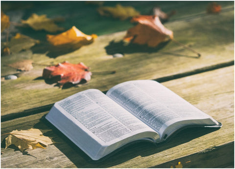 A Journey Through Scriptures: Biblical Insights on Prayer
