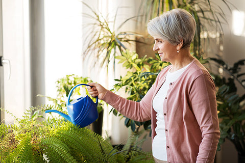 indoor gardening for seniors