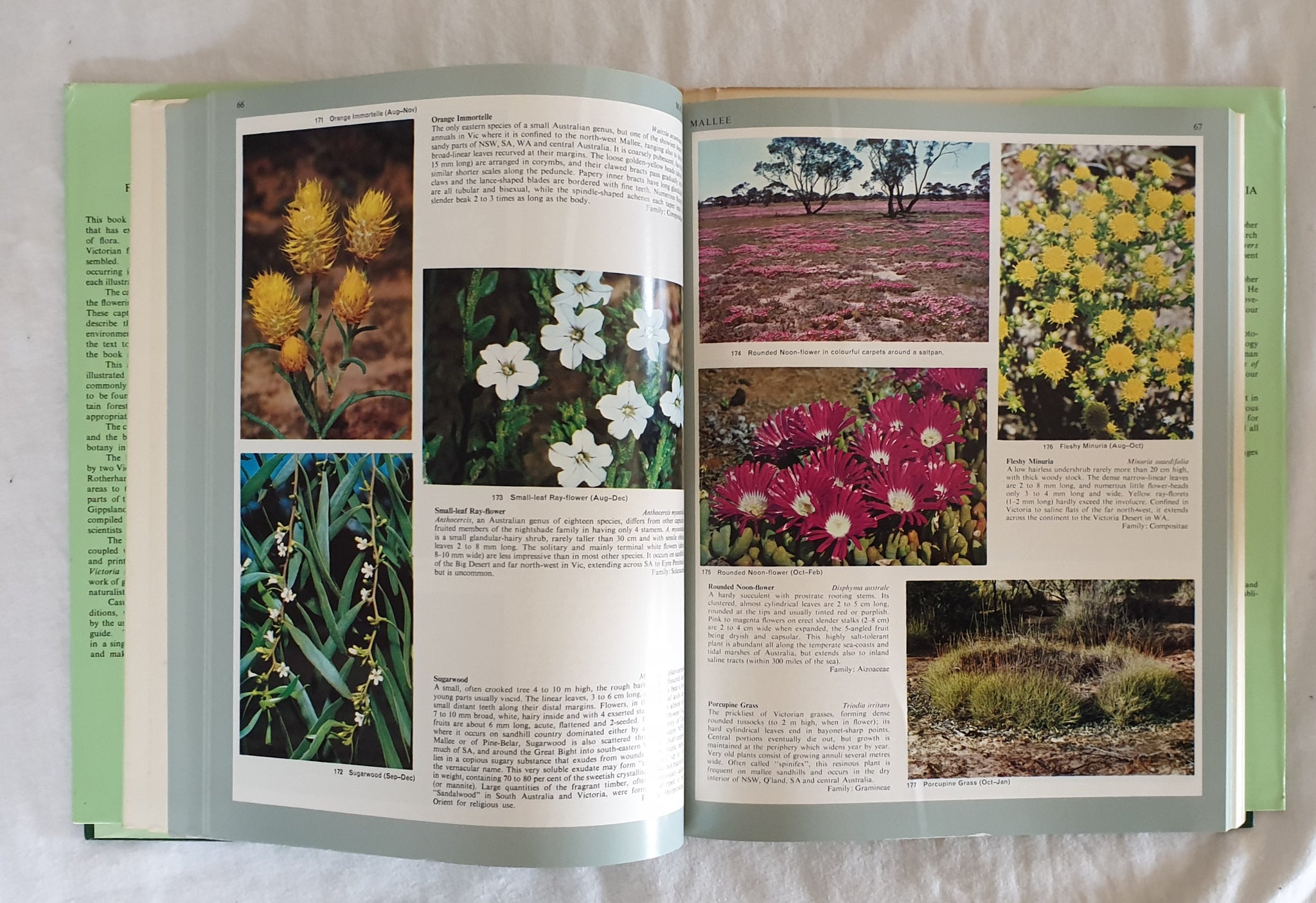 Flowers and Plants of Victoria by Cochrane, Furher, Rotherham and Will –  Morgan's Rare Books