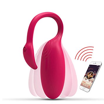 wireless sex toy