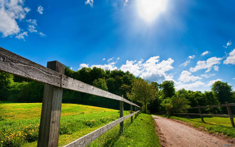 sexual health outdoors