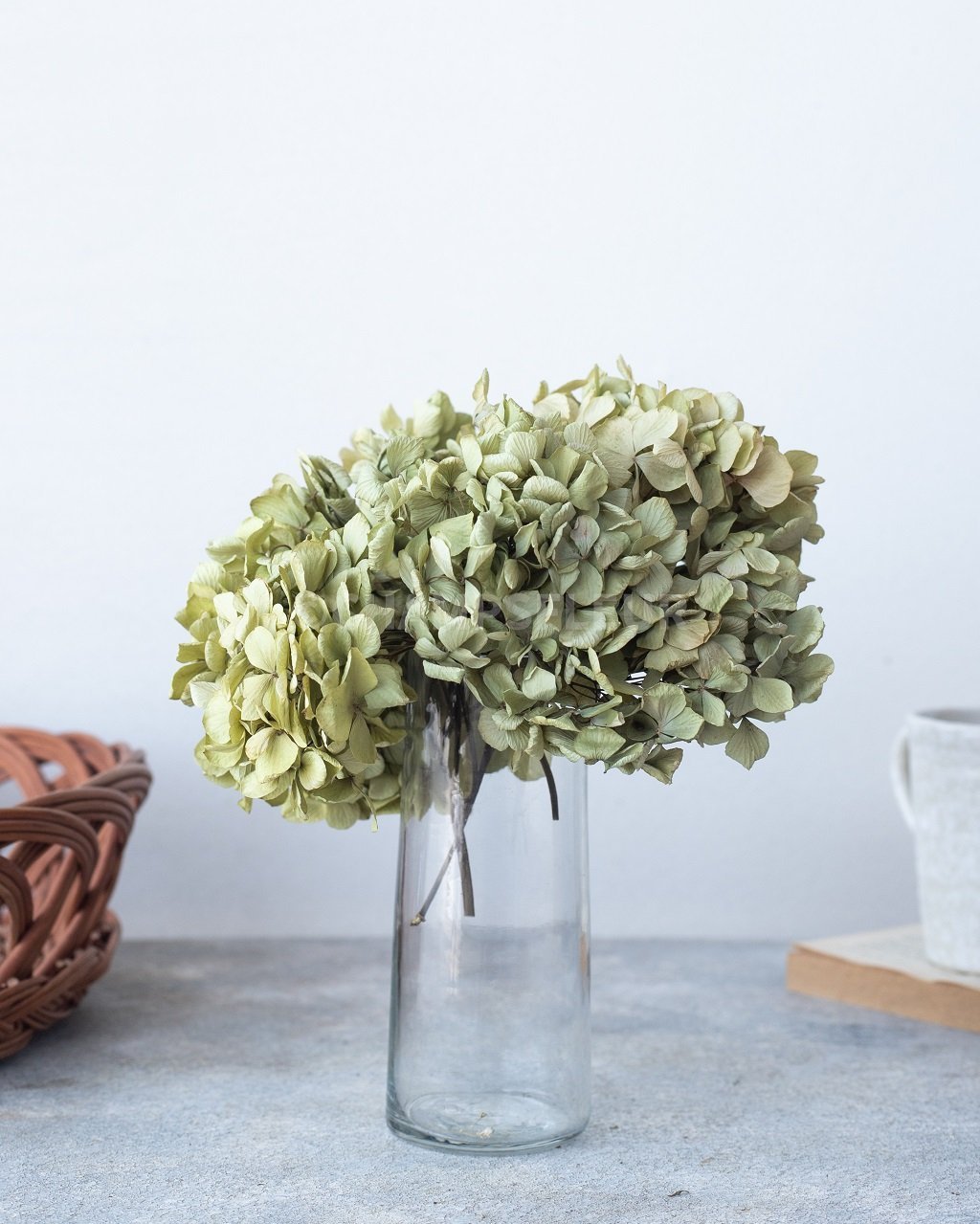 Dried Hydrangea With Stem For Decor Flower Arrangments Or Props Champs Fleur