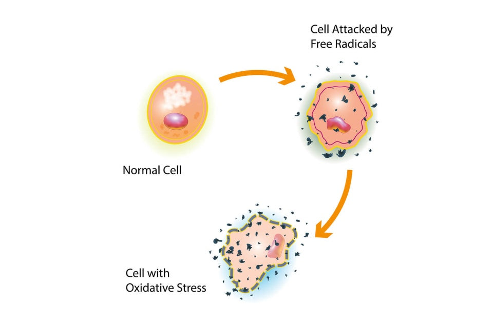 Free radicals