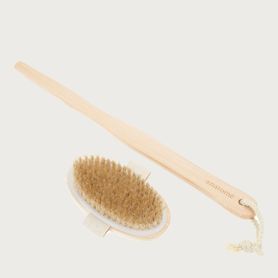 Long-handled Natural Bristle Brush - anatomē