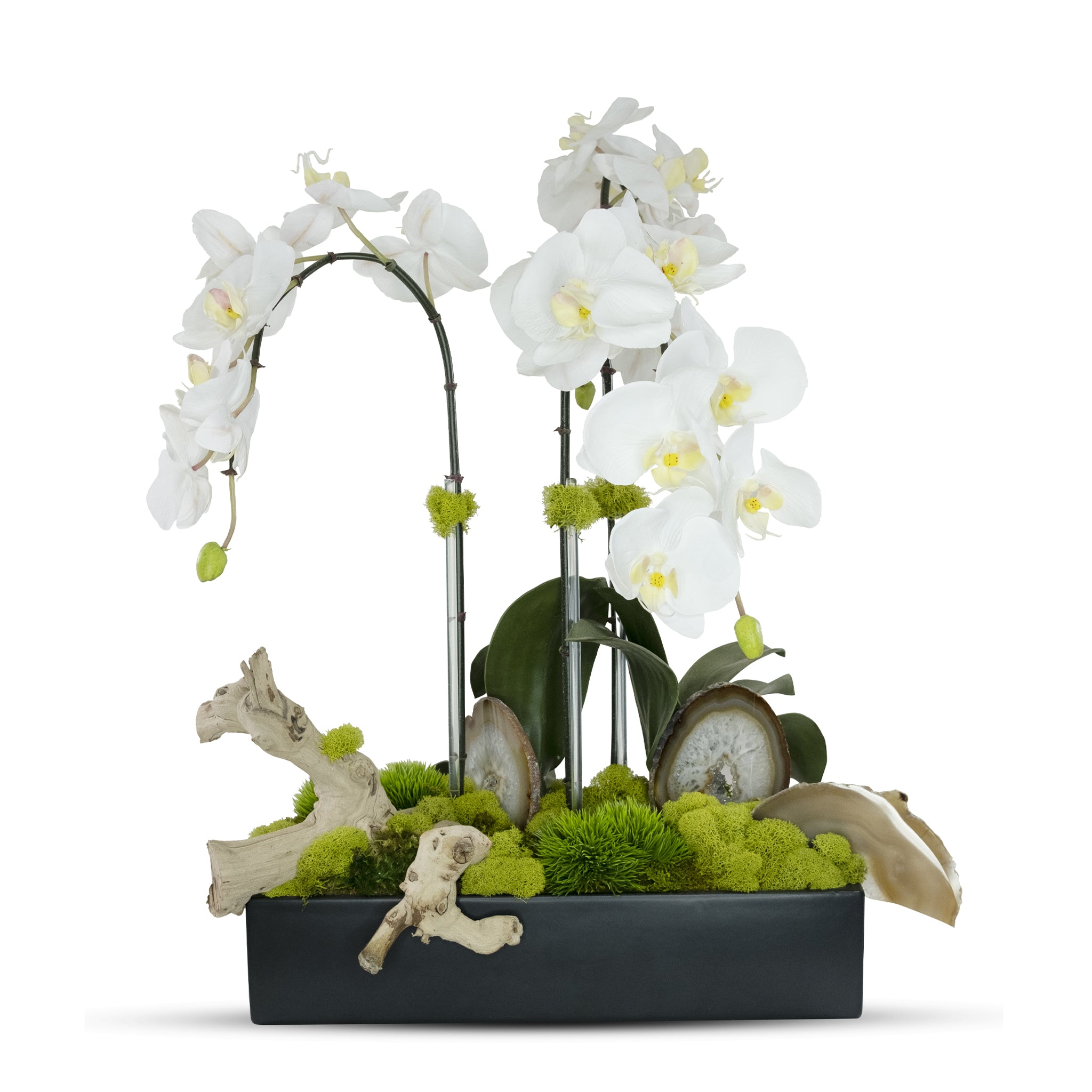 Orchids In Rectangle Ceramic Container Tandc Floral Company