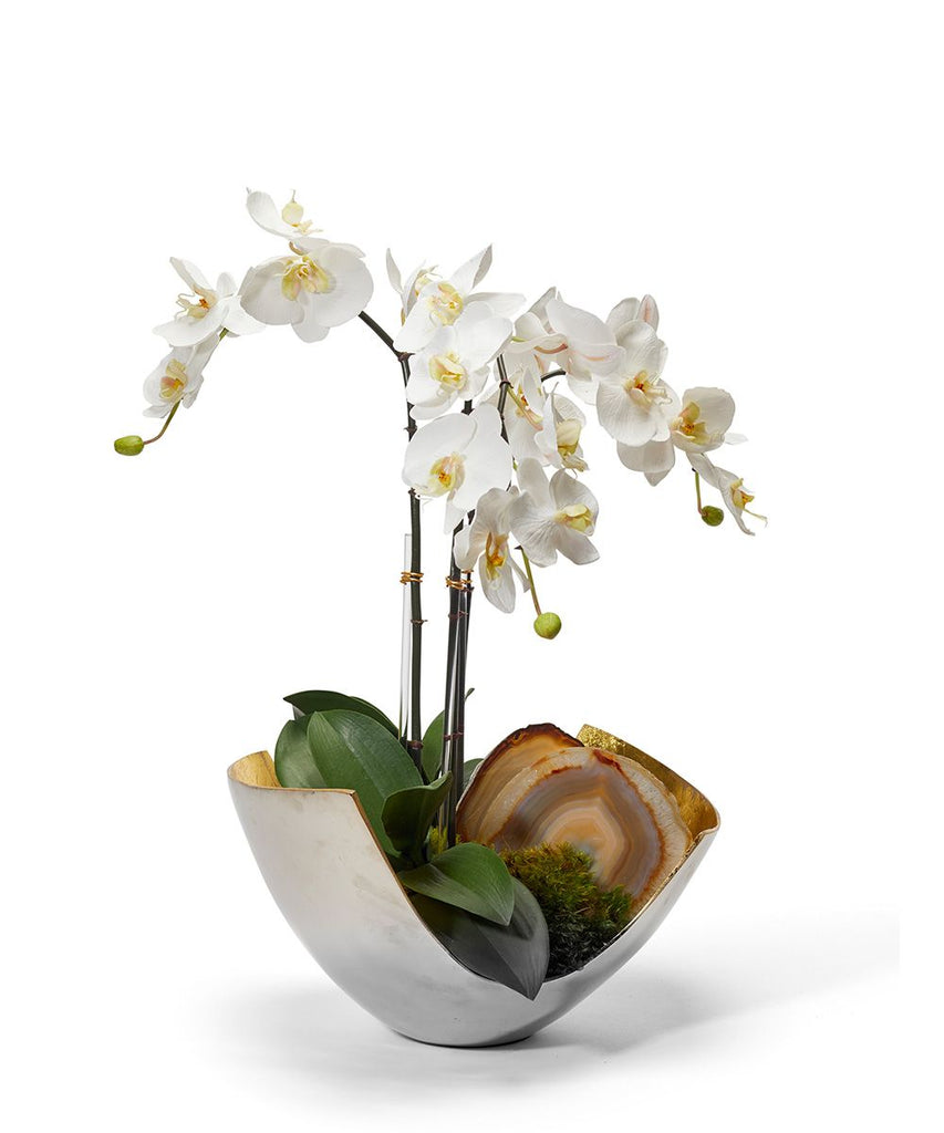 Orchids – T&C Floral Company