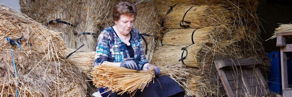 Séchage de l'osier dans la région du Ribatejo au Portugal