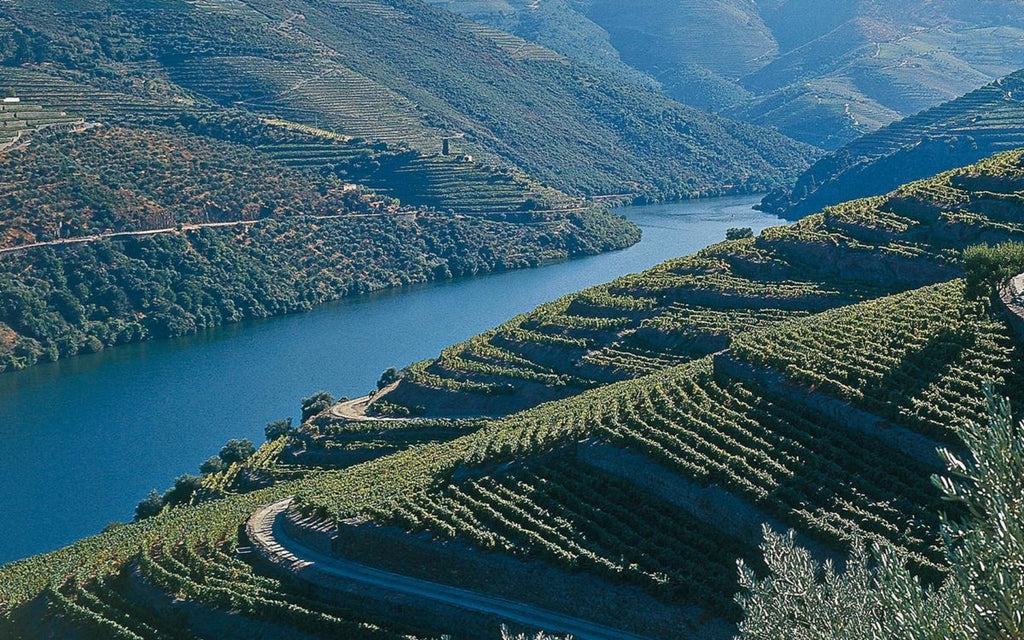 Vignobles de Trás-os-Montes - Portugal